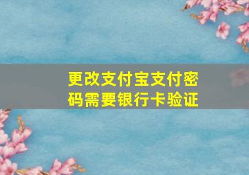 更改支付宝支付密码需要银行卡验证