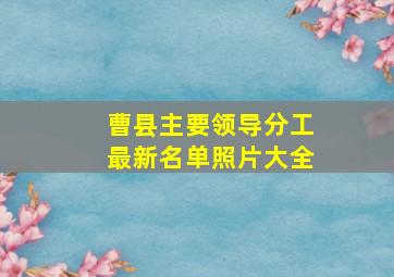 曹县主要领导分工最新名单照片大全