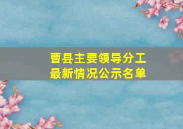 曹县主要领导分工最新情况公示名单