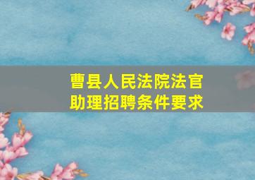 曹县人民法院法官助理招聘条件要求