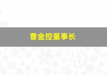 曹金控董事长