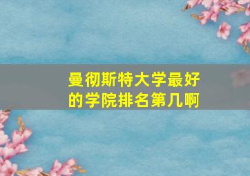 曼彻斯特大学最好的学院排名第几啊