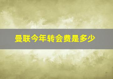 曼联今年转会费是多少