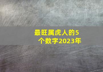 最旺属虎人的5个数字2023年