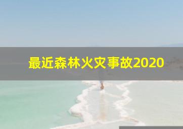 最近森林火灾事故2020