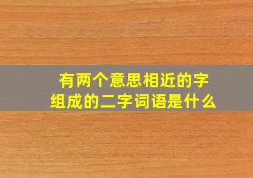 有两个意思相近的字组成的二字词语是什么