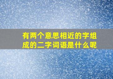 有两个意思相近的字组成的二字词语是什么呢