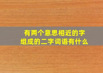 有两个意思相近的字组成的二字词语有什么