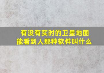 有没有实时的卫星地图能看到人那种软件叫什么