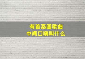 有首泰国歌曲中间口哨叫什么