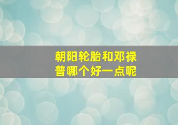 朝阳轮胎和邓禄普哪个好一点呢