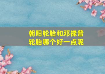 朝阳轮胎和邓禄普轮胎哪个好一点呢