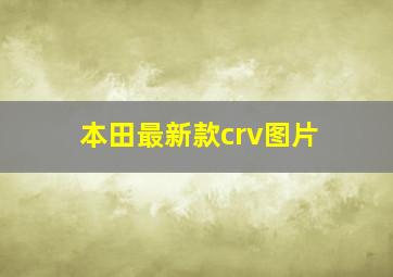 本田最新款crv图片