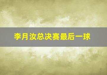 李月汝总决赛最后一球