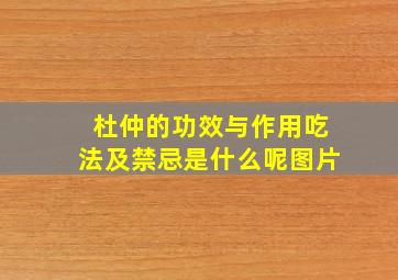 杜仲的功效与作用吃法及禁忌是什么呢图片