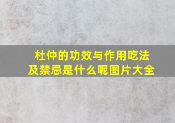 杜仲的功效与作用吃法及禁忌是什么呢图片大全