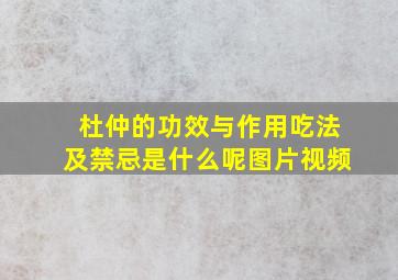 杜仲的功效与作用吃法及禁忌是什么呢图片视频