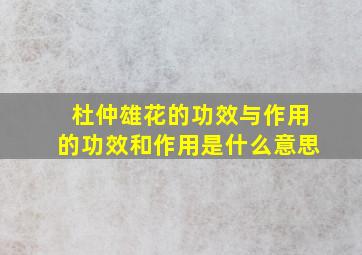 杜仲雄花的功效与作用的功效和作用是什么意思