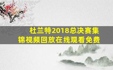 杜兰特2018总决赛集锦视频回放在线观看免费