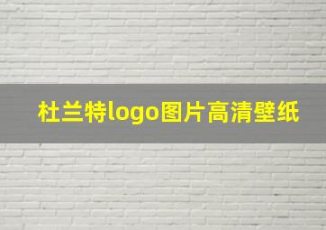 杜兰特logo图片高清壁纸