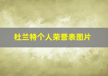 杜兰特个人荣誉表图片