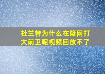 杜兰特为什么在篮网打大前卫呢视频回放不了