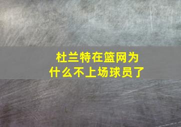 杜兰特在篮网为什么不上场球员了