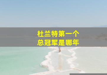 杜兰特第一个总冠军是哪年