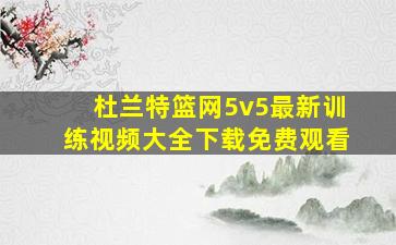 杜兰特篮网5v5最新训练视频大全下载免费观看