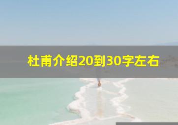 杜甫介绍20到30字左右