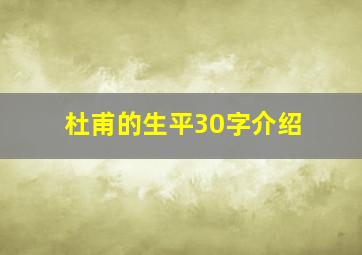 杜甫的生平30字介绍