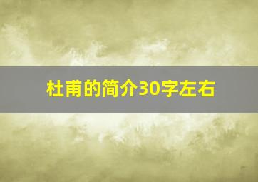 杜甫的简介30字左右