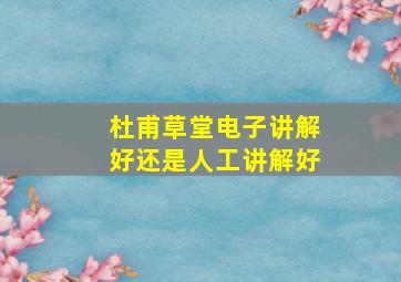 杜甫草堂电子讲解好还是人工讲解好