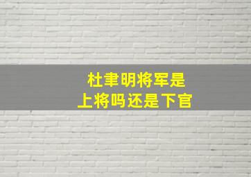 杜聿明将军是上将吗还是下官