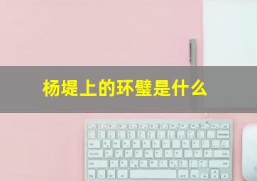 杨堤上的环璧是什么