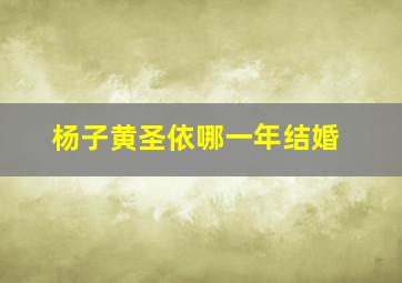 杨子黄圣依哪一年结婚