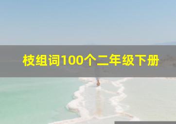 枝组词100个二年级下册