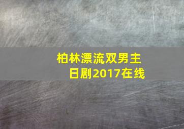 柏林漂流双男主日剧2017在线