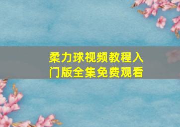 柔力球视频教程入门版全集免费观看