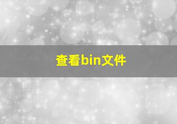 查看bin文件