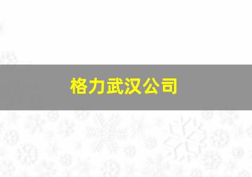 格力武汉公司