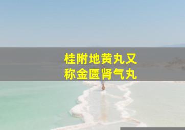 桂附地黄丸又称金匮肾气丸