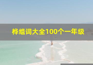 桦组词大全100个一年级