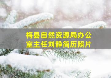 梅县自然资源局办公室主任刘静简历照片