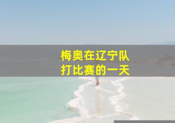 梅奥在辽宁队打比赛的一天