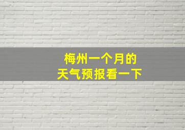 梅州一个月的天气预报看一下