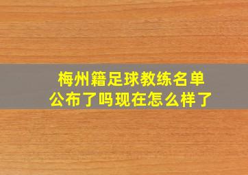 梅州籍足球教练名单公布了吗现在怎么样了