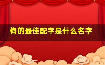 梅的最佳配字是什么名字