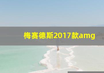 梅赛德斯2017款amg