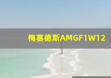 梅赛德斯AMGF1W12